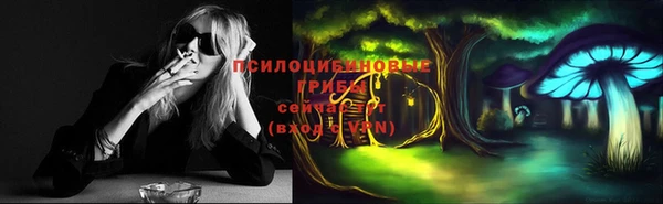 каннабис Белокуриха