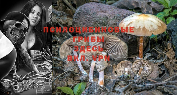 прущие крисы Белоозёрский