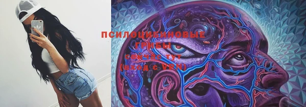 соль ск Беломорск